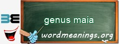 WordMeaning blackboard for genus maia